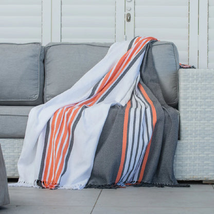 Protea Pinstripe Eclipse